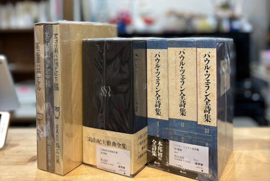 今日の新入荷棚［1F］